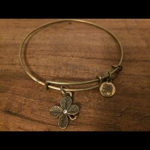 Alex and Ani Bangle